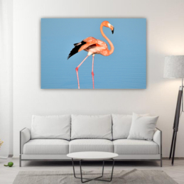 Flamingó - téglalap