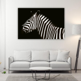Zebra 2 - téglalap