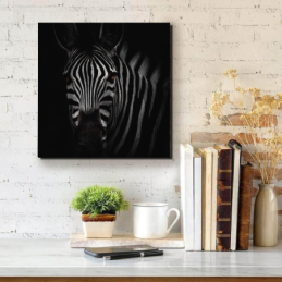 Zebra portré - négyzet